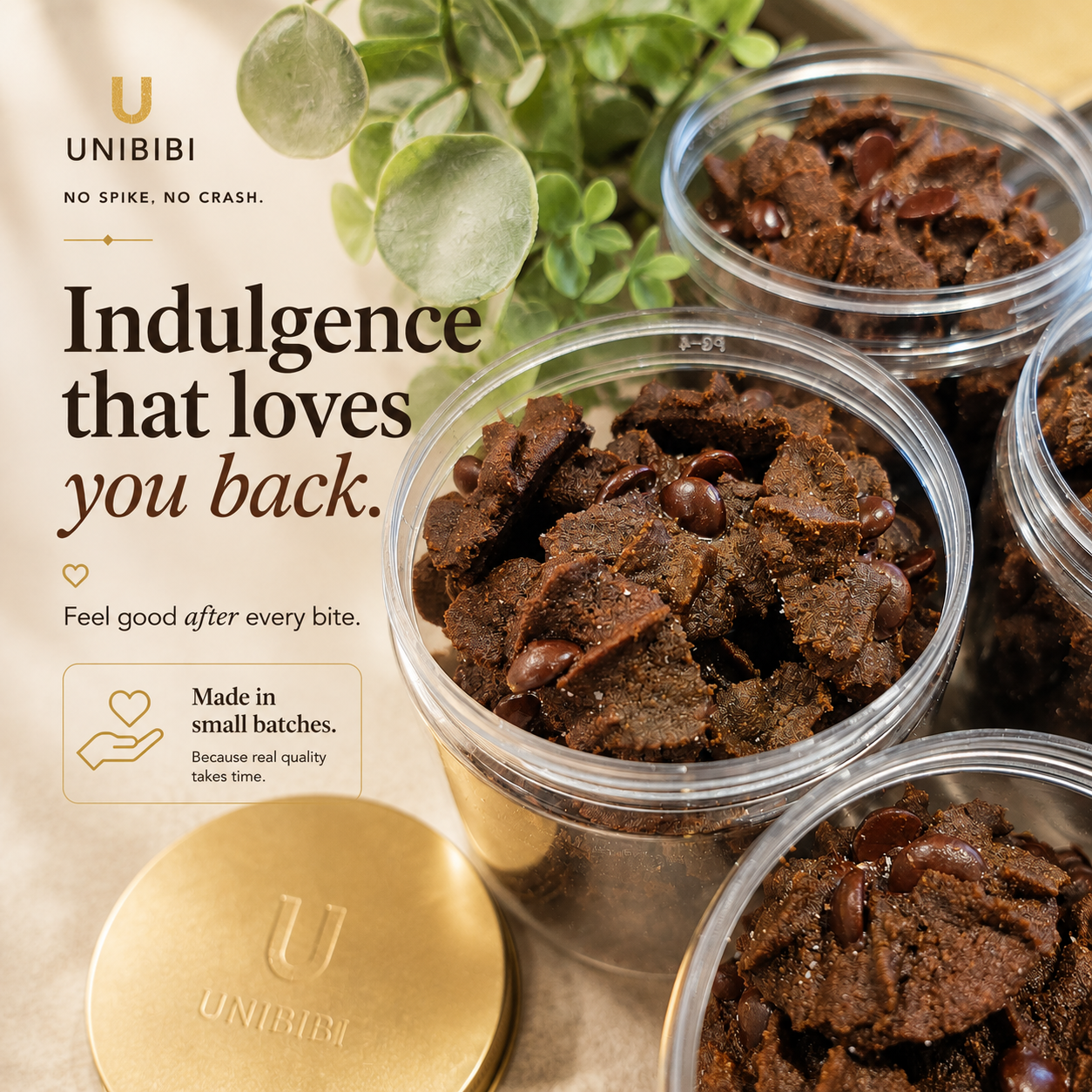 Low GI Raw Cacao Cookie (SKU UNB-CK-RC-240)
